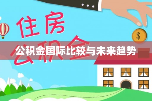 大村公积金国际比较与未来趋势