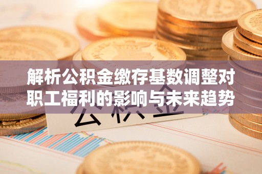 大村解析公积金缴存基数调整对职工福利的影响与未来趋势