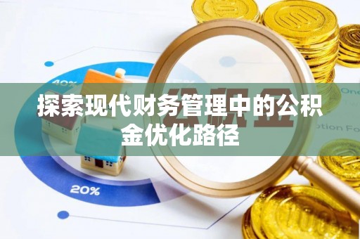 大村探索现代财务管理中的公积金优化路径