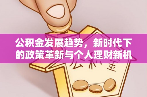 大村公积金发展趋势，新时代下的政策革新与个人理财新机遇