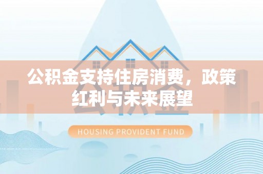 大村公积金支持住房消费，政策红利与未来展望