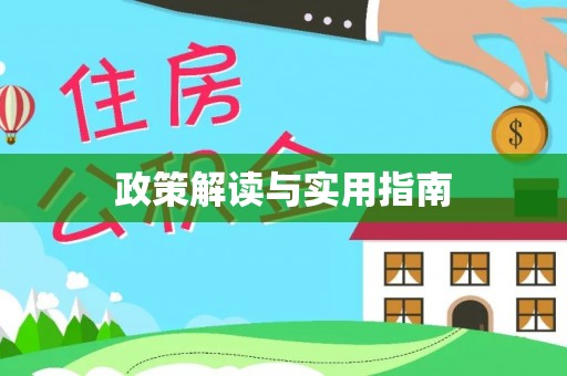 大村政策解读与实用指南