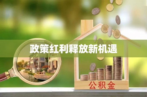 大村政策红利释放新机遇