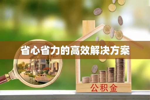 大村省心省力的高效解决方案