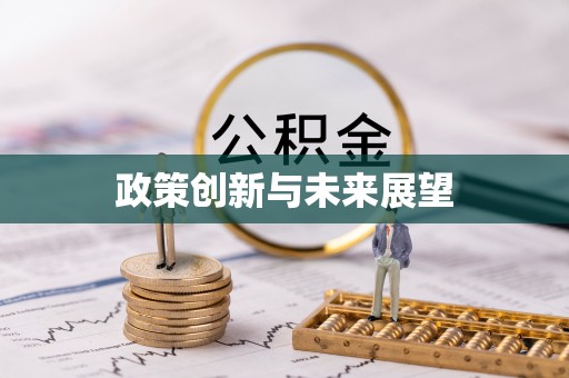 大村政策创新与未来展望